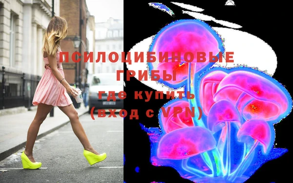 сатива Алексин