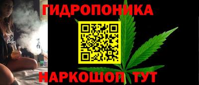 молекула духа Донской