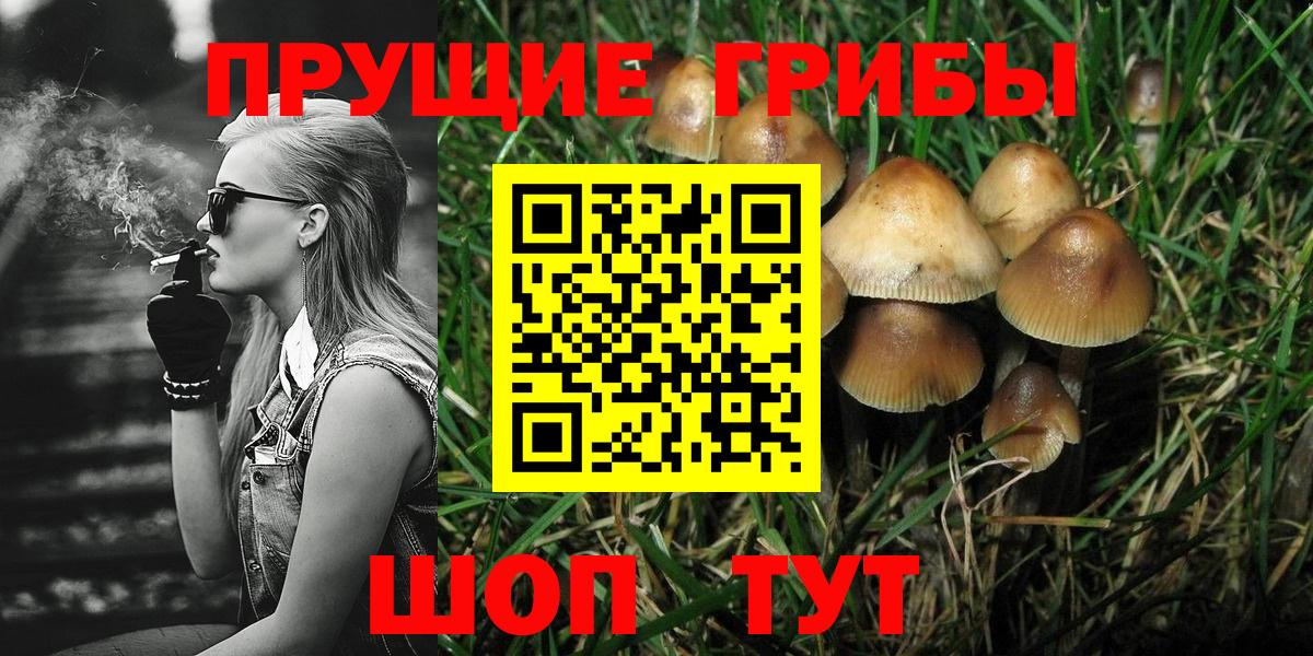 Псилоцибиновые грибы прущие грибы Ленинск-Кузнецкий