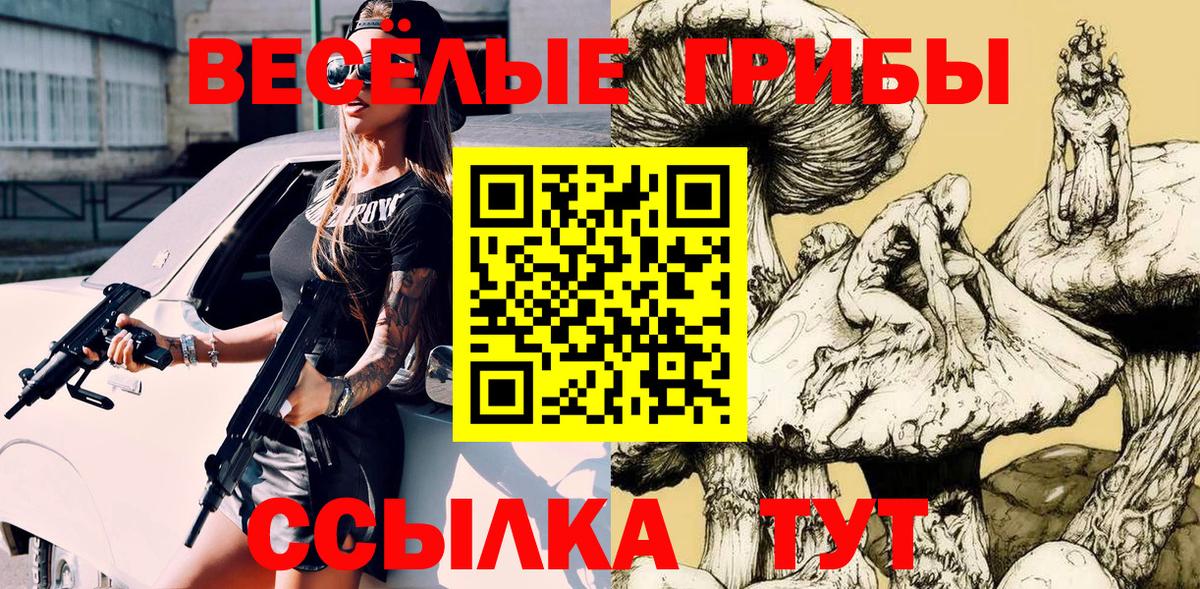 Псилоцибиновые грибы Psilocybine cubensis  Вход с VPN  Ленинск-Кузнецкий  Псилоцибиновые грибы Psilocybine cubensis 