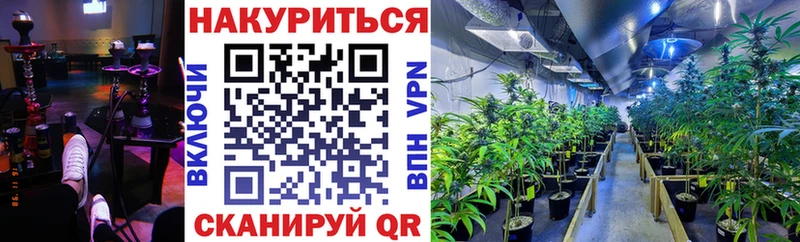 Каннабис Bruce Banner  Ленинск-Кузнецкий 